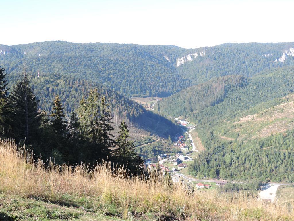 Penzion Pod Guglom Mlynky Bagian luar foto