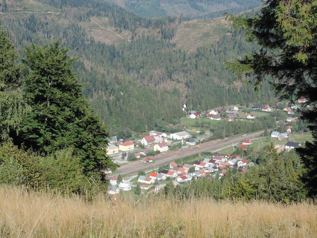 Penzion Pod Guglom Mlynky Bagian luar foto